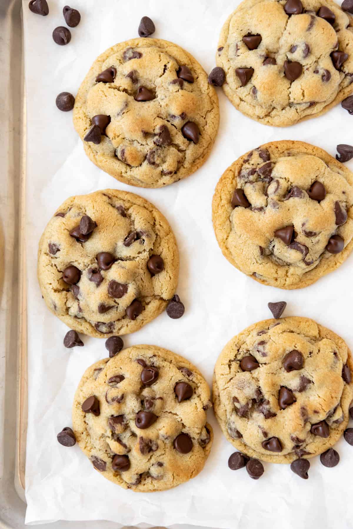 chocolate chip cookie recipe small batch