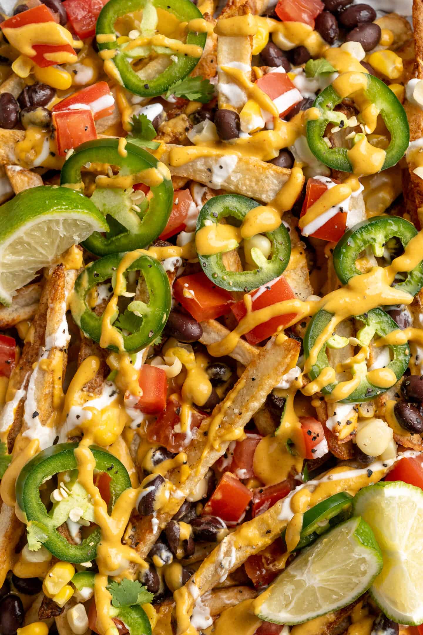 french fries nachos